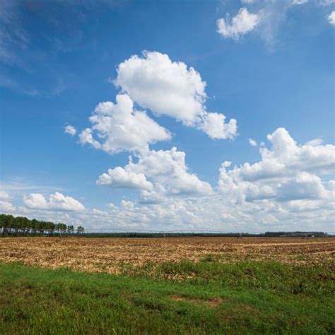 plainview tx utilities|Resource Directory • Plainview, TX • CivicEngage.
